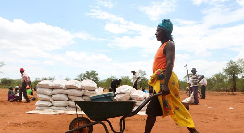 A villager uses a wheelbarrow to collect a monthly food ration provided by the United Nations World Food Programme (WFP) in Masvingo, Zimbabwe, January 25, 2016. REUTERS/Philimon Bulawayo