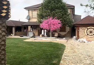 Aleksandra Subotić vila