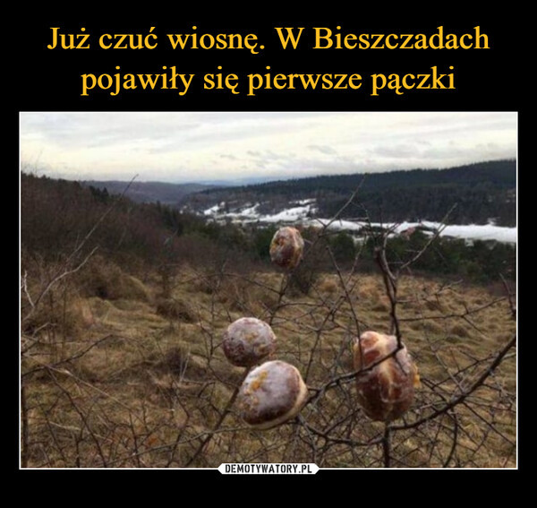 Memy na tłusty czwartek