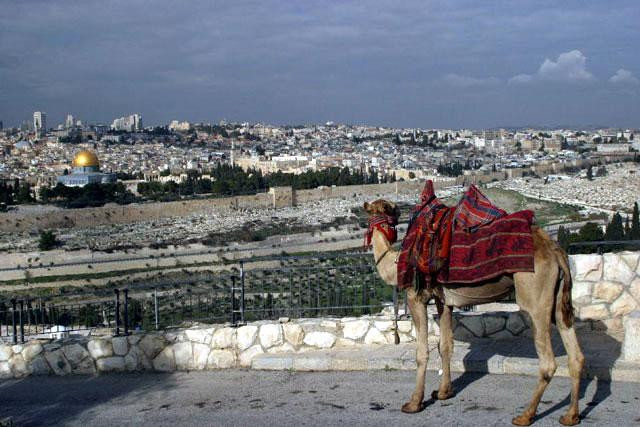 Galeria Izrael - Jerozolima - Via Dolorosa, obrazek 3