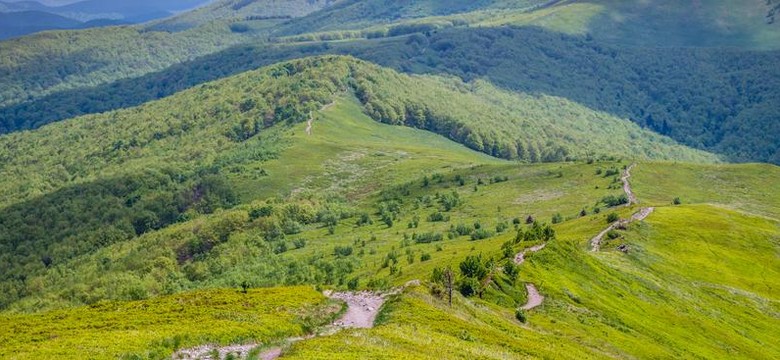 Liczba rezerwacji spada, jednak ceny zachęcają do podróży