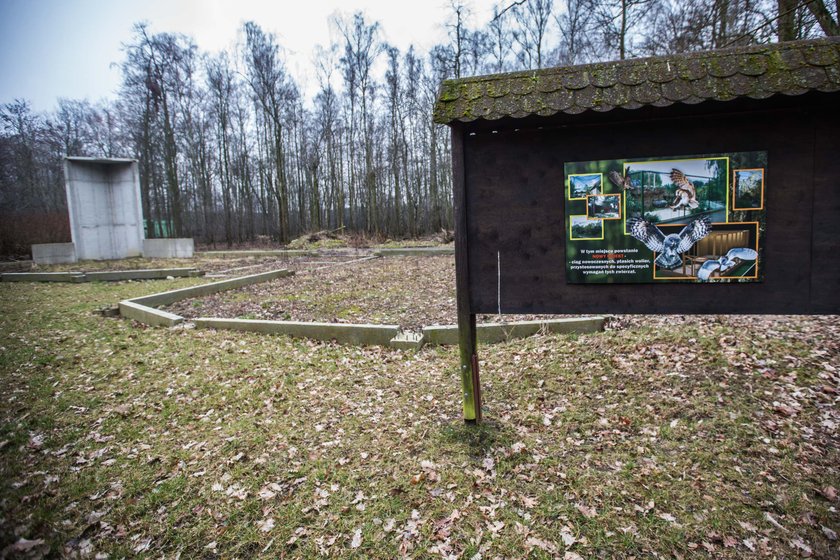 Wyremontują woliery dla ptaków drapieżnych z poznańskiego Zoo