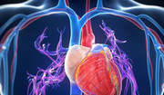 Szmery w sercu powodem do niepokoju? Przyczyny i objawy szmerów w sercu