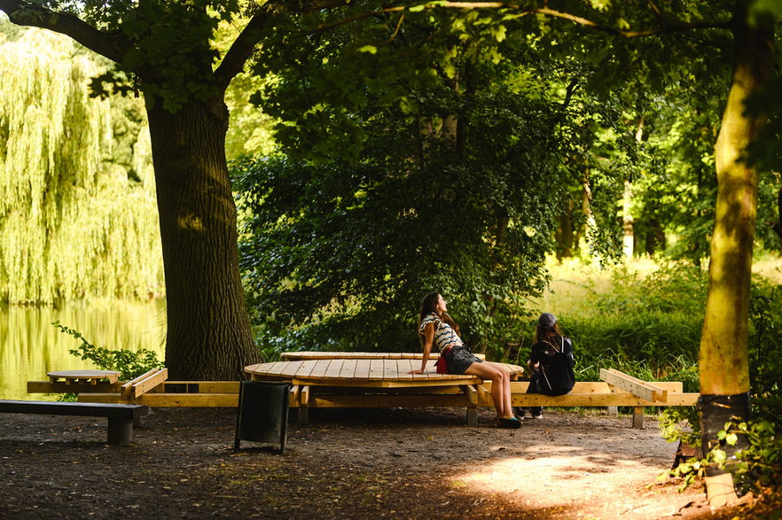 Zrobili pięć unikalnych mebli z drewna. Trafiły do poznańskich parków