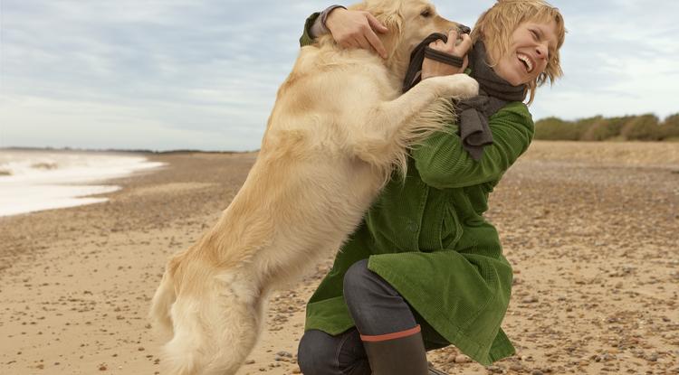 Miért ugrál fel rád a kutyád? Fotó Getty Images