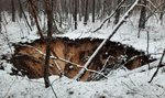 Kolejne zapadliska w okolicach Trzebini. Nadleśnictwo ostrzega i publikuje mapy zagrożeń