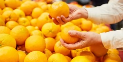 Jak kupić pomarańcze bez pestek? Zwróć uwagę na ten szczegół