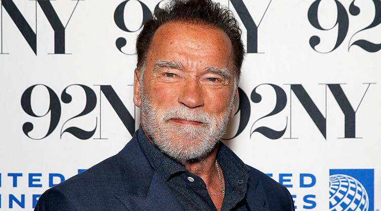 Őrizetbe vették Arnold Schwarzeneggert Fotó: Getty Images