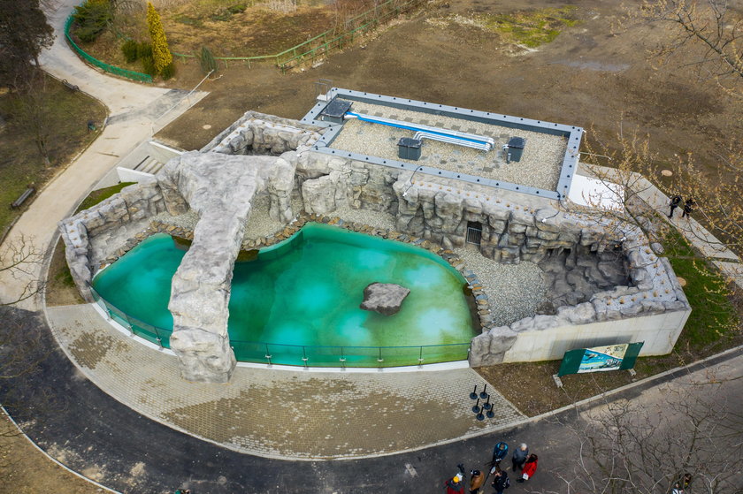 Chorzów. Śląski Ogród Zoologiczny po 43 latach ma pingwiny