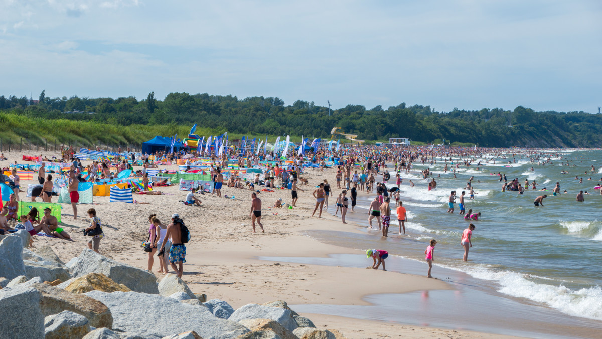 Sinice na bałtyckich plażach. Sanepid zamknął niektóre kąpieliska