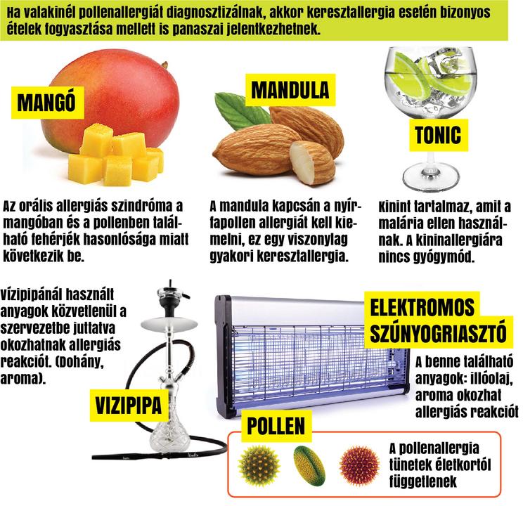 Grafika: Séra Tamás