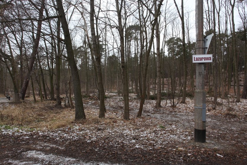 ul. Lazurowa na Wyspie Sobieszewskiej