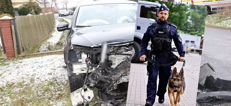 Spowodował wypadek i uciekł. Policji pomógł Pirs