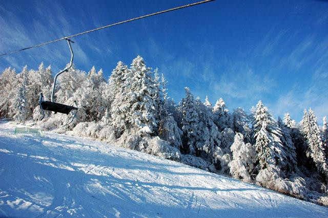 Galeria Polska - Bieszczady na nartach i parolotni, obrazek 3