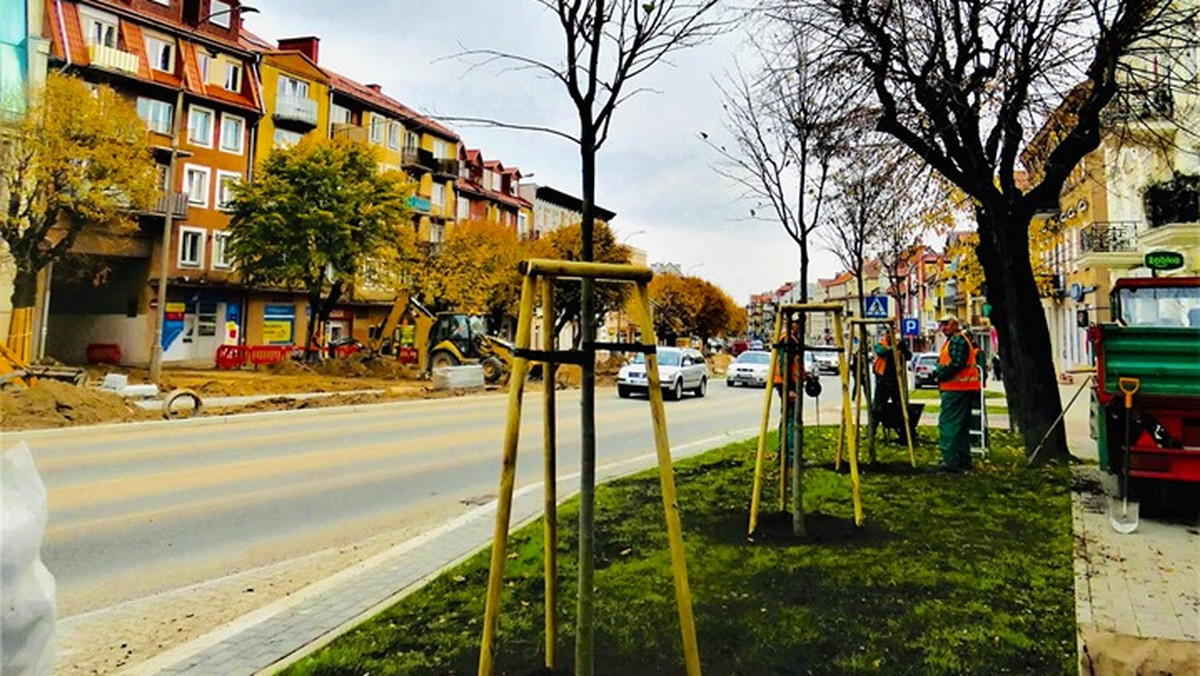 W Ełku rozpoczęła się akcja sadzenia drzew przy miejskich ulicach. Potrwa dwa tygodnie, zasadzonych ma zostać 300 drzew - poinformował prezydent miasta Tomasz Andrukiewicz.