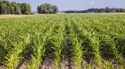 Rząd chce obniżyć VAT na nawozy i środki wspomagające uprawę