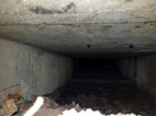 Jeden z tuneli odkrytych w Mamerkach
