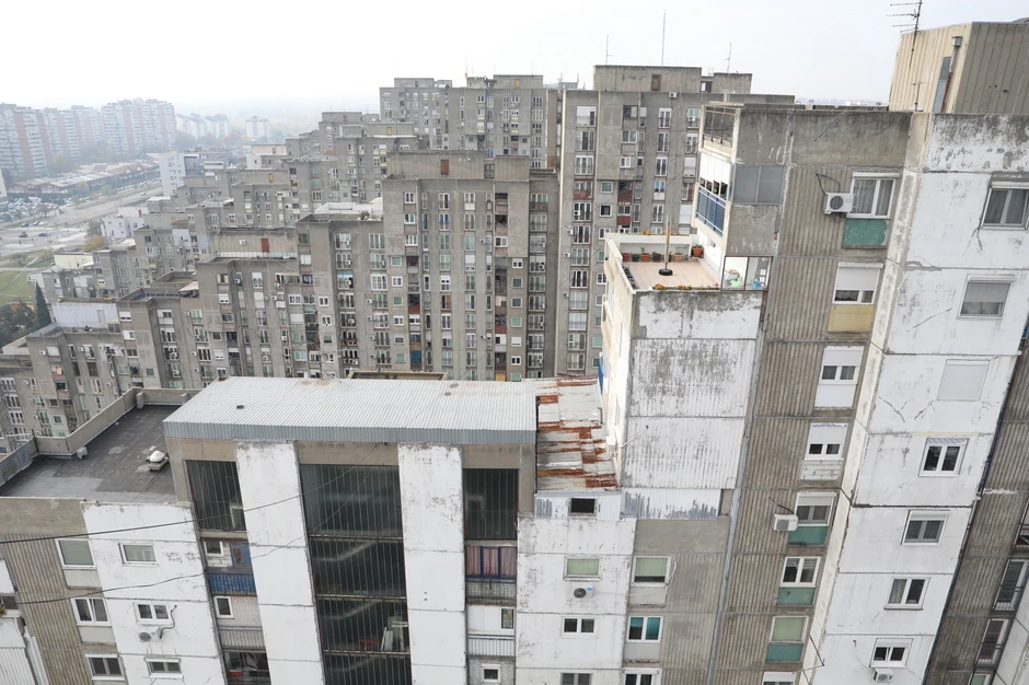 "Šuma" solitera na Novom Beogradu