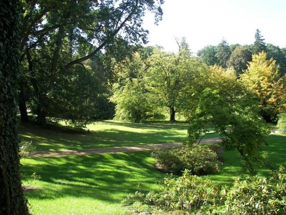 Arboretum w Gołuchowie 