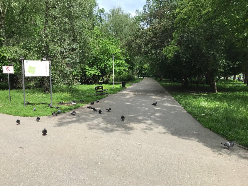 Park przy ul. Pułaskiego