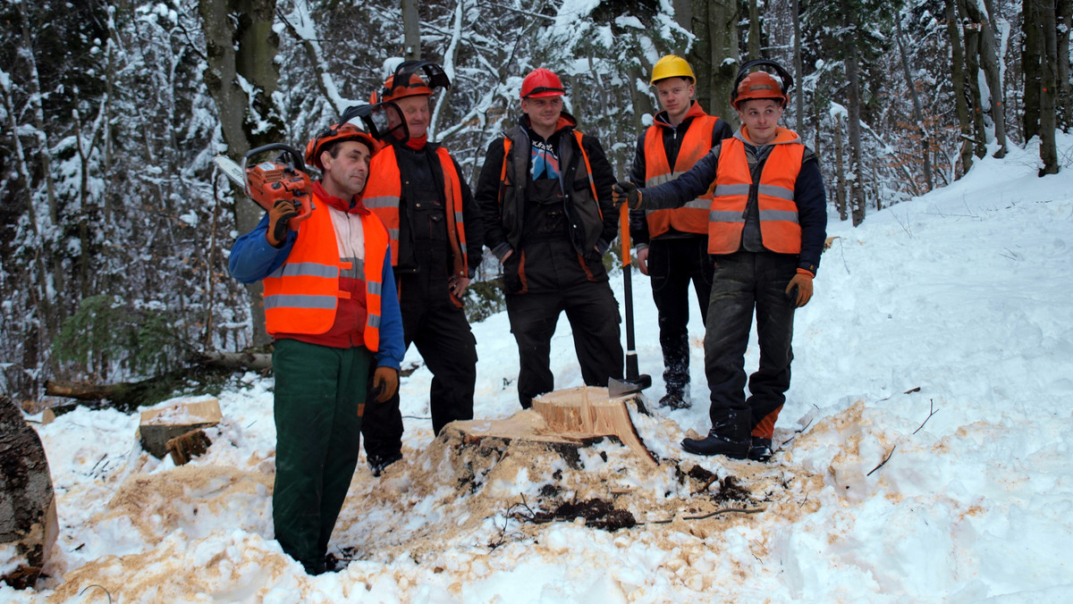 Na słowo "Bieszczady" praktycznie każdy ma jakieś skojarzenia. Połoniny, przestrzeń, wiatr we włosach... Wrażenie nieskrępowanej niczym wolności. Życie zupełnie innego od tego miastowego, za biurkiem. Ale prawdziwe życie w Bieszczadach toczy się inaczej. Najczęściej w lesie. Kolejny sezon serialu nakręconego przez Discovery Channel "Przystanek Bieszczady" to dobra okazja, by zobaczyć, jak naprawdę wygląda bieszczadzka codzienność...