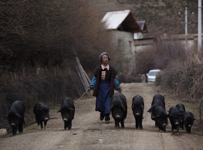 Mityczna kraina Shangri-La
