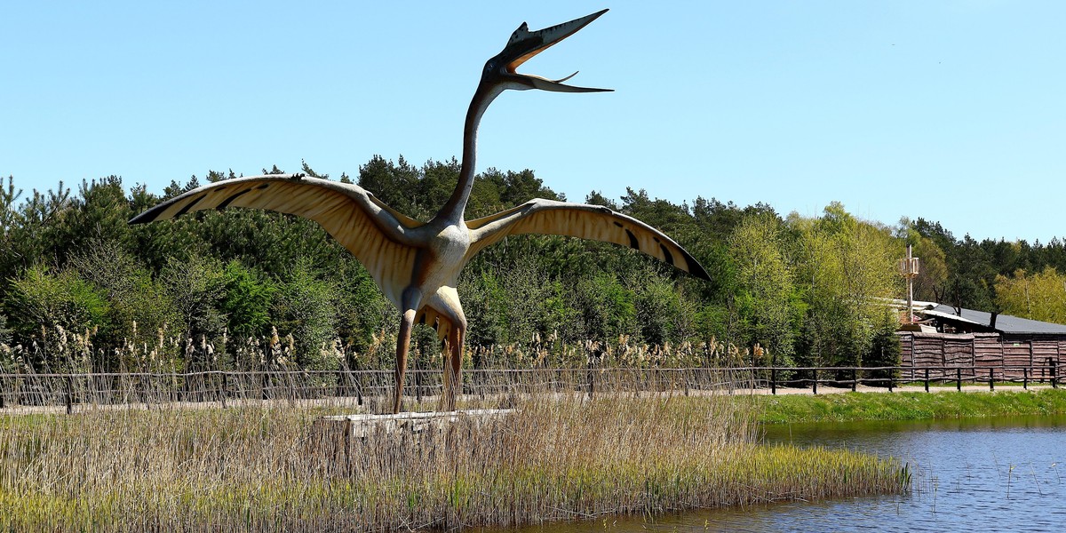 Łeba Park zaprasza do świata dinozaurów