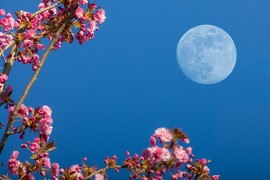 STIŽE NAM SUTRA PUN CVETNI MESEC! Njima se ŽIVOT MENJA IZ KORENA! Najvažnija polja natalne karte na udaru i TURBULENCIJE kakve se ne pamte