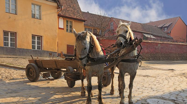 Egy fogathajtó balesetezett Álmosdon / Fotó: Northfoto