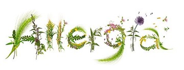 allergia-ewo-d000015BB628b34cd0abf