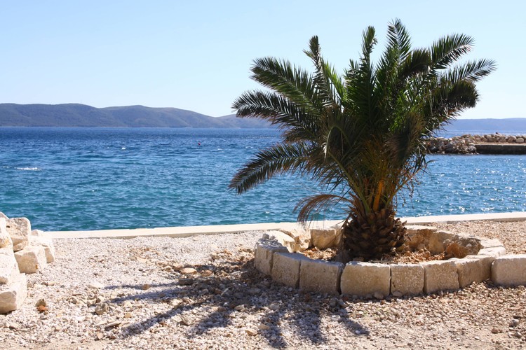 Urokliwe zakątki miasteczka Zivogosce leżącego na Wybrzeżu Makarskim na Chorwacji.