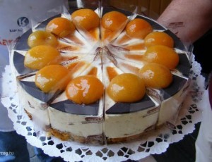 36101_orszag-torta-2011-kecskemeti-barackkal-toltott-koles-d0002E779340bdf67bb7b