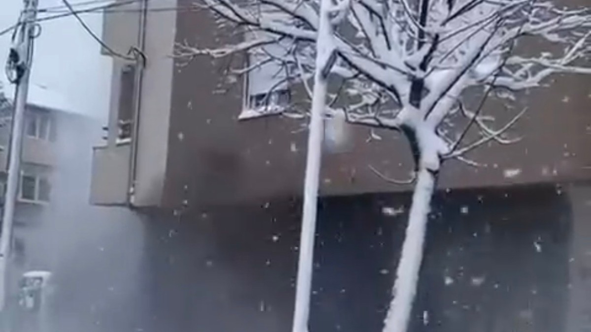 Požar u Zemun Polju