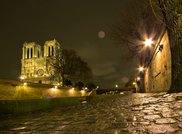 katedra notre-dame paryż notre dame