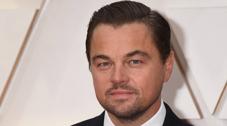 Leonardo DiCaprio megmentette kutyái életét /Fotó: GettyImages