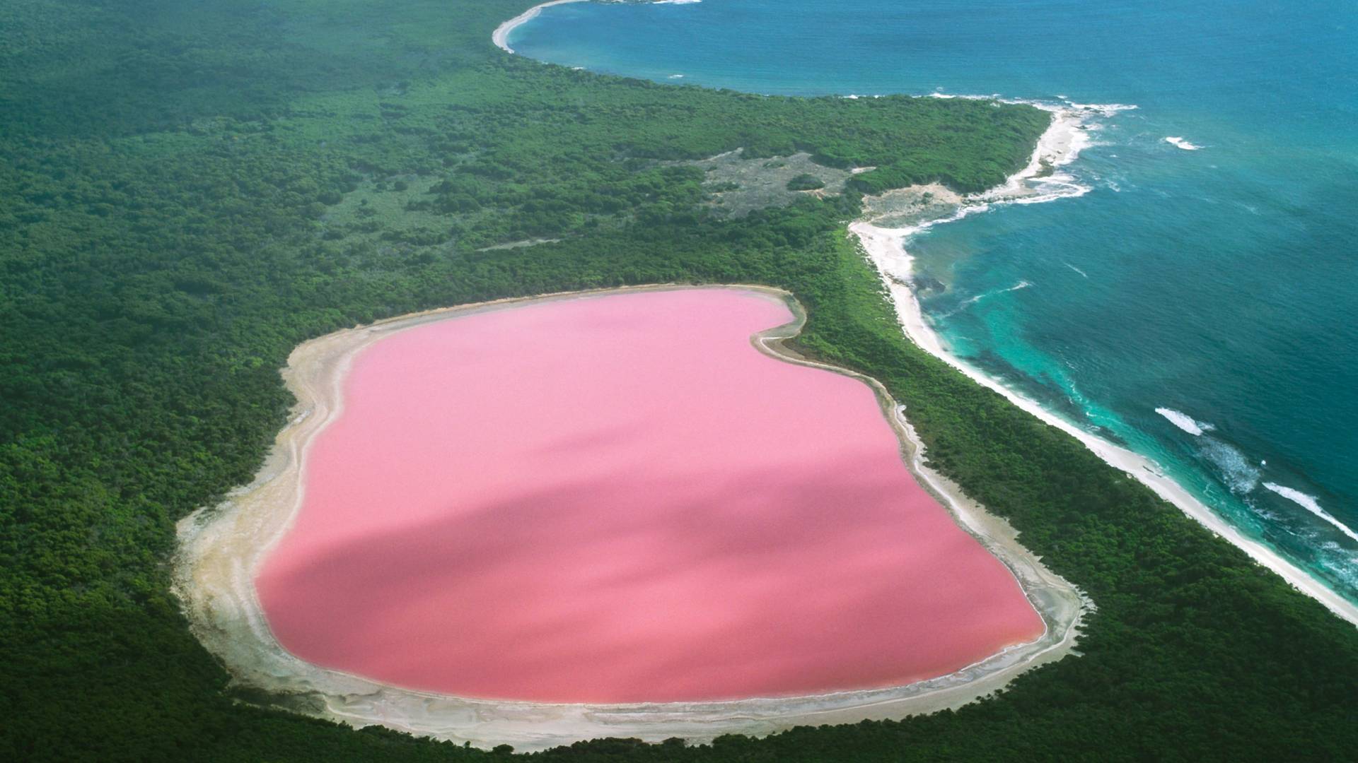 Kupanje u pink jezeru je kao skok u glazuru torte