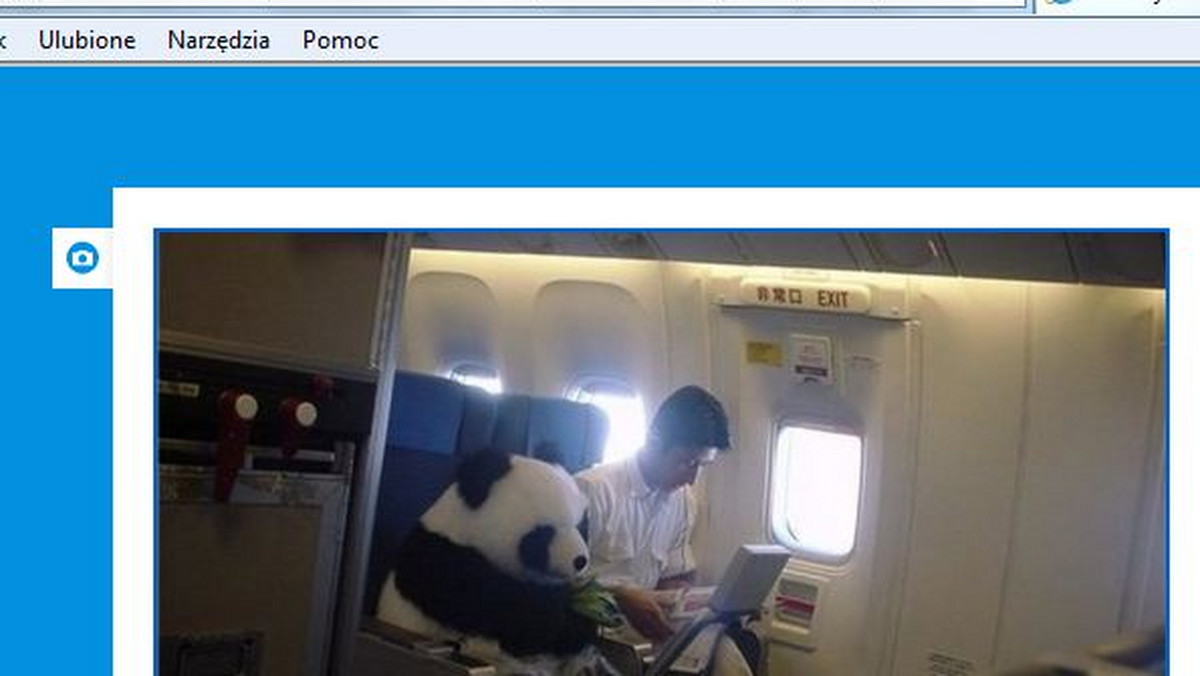 Niezwykłe zdjęcie pandy w samolocie China Airlines bardzo szybko opanowało sieć. Tysiące internautów udostępniło fotografię, na której w fotelu obok jednego z pasażerów siedzi niedźwiadek panda wielkości człowieka - pisze dailymail.co.uk.