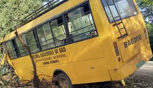 School bus collides