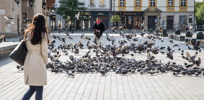 Centrum wróciło do życia. Krakowianie wyszli na rynek