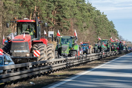 Rywalizacja polskiego rolnictwa z ukraińskim nieunikniona. Eksperci nie mają złudzeń