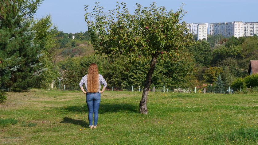 Wzruszający gest mamy małego Fryderyka. Obcięła włosy, by pomóc dzieciom