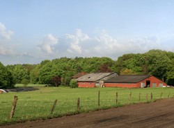 Wsie walczą z miastami terrorem politycznym