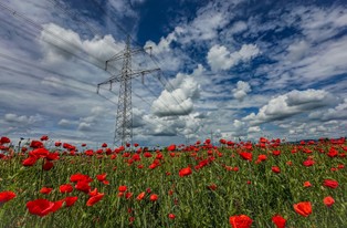 Czy można uzyskać rekompensatę od przedsiębiorstwa energetycznego za słupy znajdujące się na działce?
