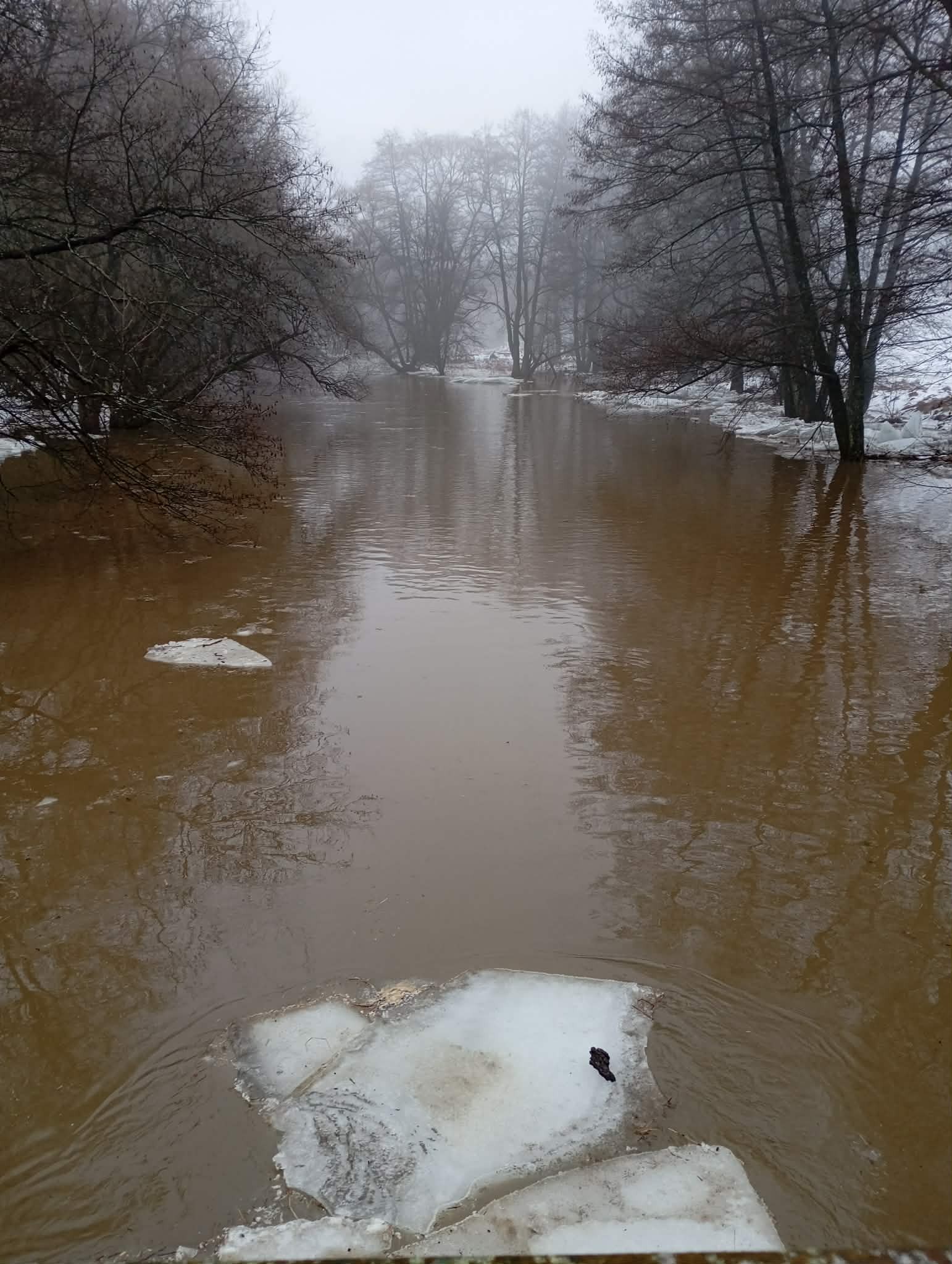 Vzdutie vodnej hladiny z dôvodu vytvorenia ľadovej bariéry na Slatine v úseku nad VD Môťová.