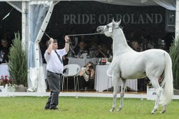 Szef ANR o dymisji Karola Tylendy, odpowiedzialnego za "Pride of Poland"