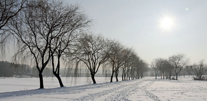 Pogoda na święta. Najnowsze ostrzeżenia. Uwaga na siarczysty mróz i opady marznącego deszczu. Porywisty wiatr w całej Polsce!