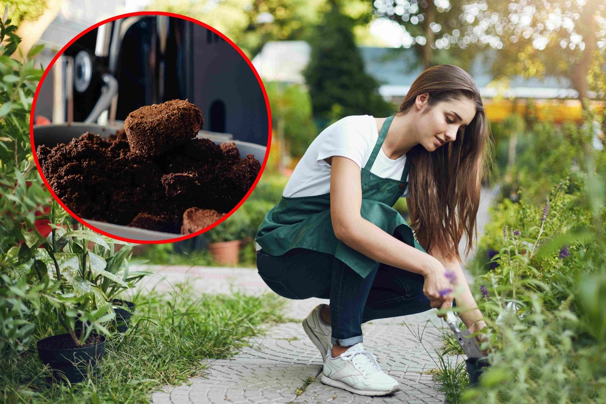 Zamiast wyrzucać… sprawdź, jak wykorzystać fusy po kawie! O tych pomysłach nie miałeś pojęcia