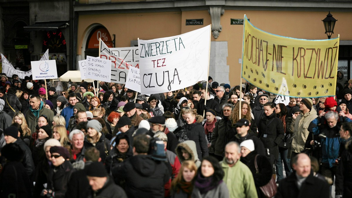 Prokuratura w Kaliszu po raz trzeci zbada sprawę znęcania się nad psem przez 34-letniego jego właściciela. Taką decyzję podjęła Prokuratura Okręgowa w Ostrowie Wlkp. Wcześniej kaliska prokuratura dwukrotnie umarzała postępowanie w tej sprawie.