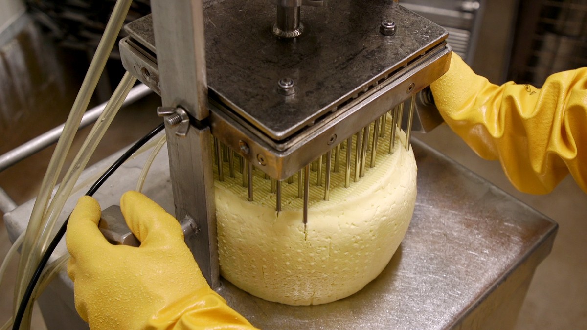 Brie i Camembert mogą zniknąć z rynku. Naukowcy ostrzegają przed wyginięciem pleśni