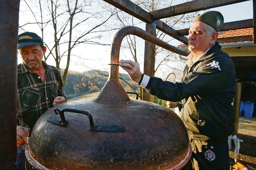 Tomislav Nikolić, predsednik: Posao ili slobodno vreme kod rakijskog kazana